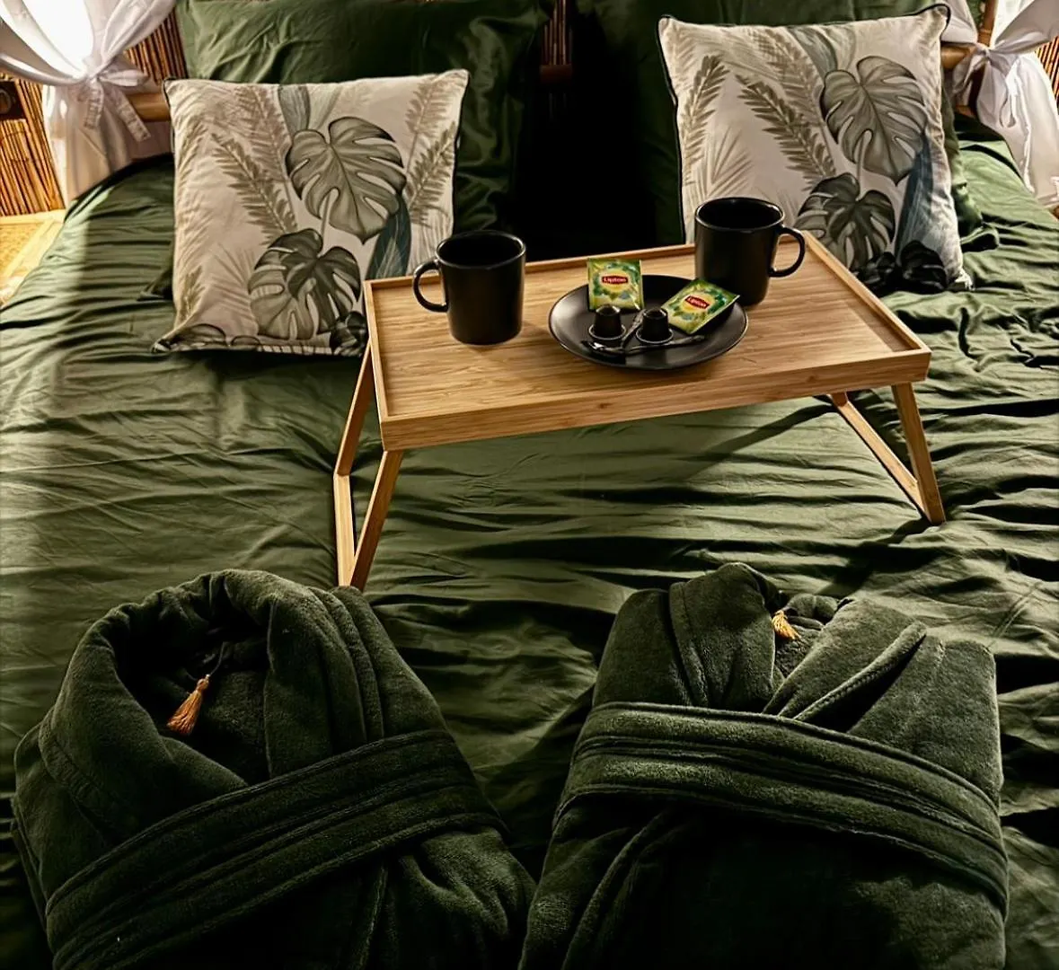 Jungle Love Room Toulouse Apartment